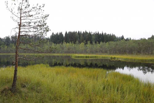 Sodybos, dvarai, vilos Sodyba Bona natura