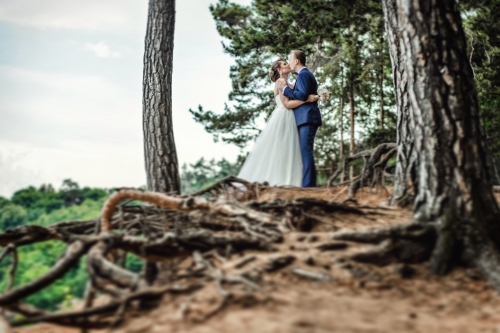 Foto paslaugos, fotografija Fotografė Aurelija Petrikaitė +37067771302 (visa Lietuva) 