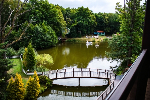 Sodybos, dvarai, vilos „Vila Radailiai“ - elegantiška ir jauki švenčių vieta