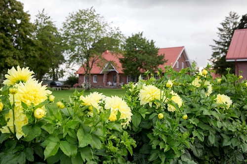 Sodybos, dvarai, vilos Platelių DVARO  Palivarkas