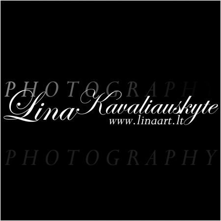 "linaart" Lina Kavaliauskytė logo