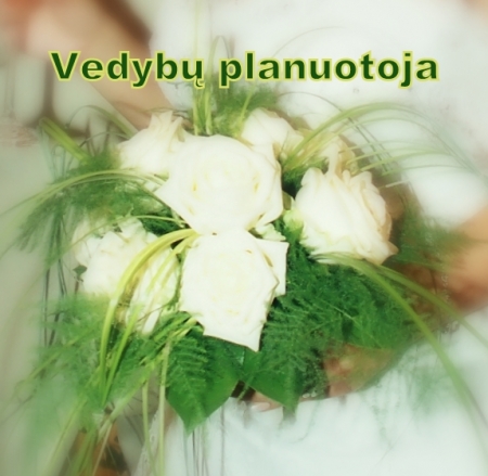 Vestuvių planuotoja logo