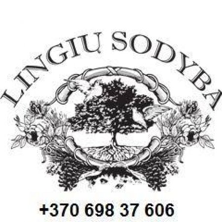 LINGIŲ sodyba logo