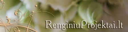 RenginiuProjektai.lt

 logo