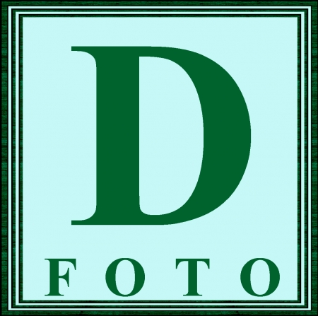 Fotostudija "DZŪFORA" Lazdijuose logo