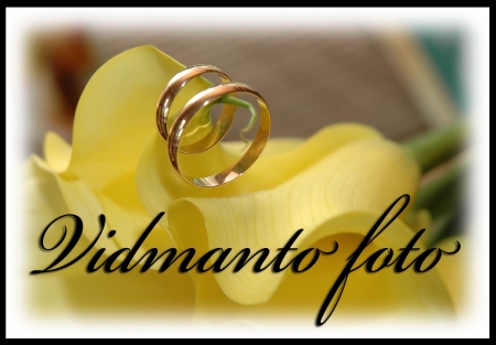 Fotografas Vidmantas logo