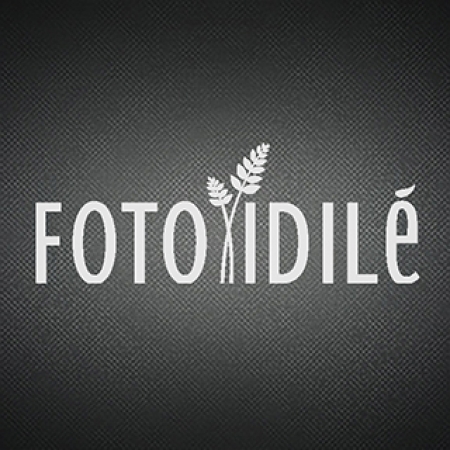 Fotoidile.lt logo