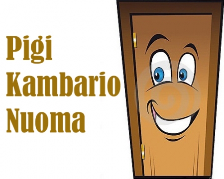 010 kambarių nuoma Šiauliuose logo