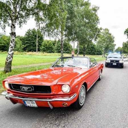 FORD MUSTANG 1966 Kabrioletas | Raudonas logo