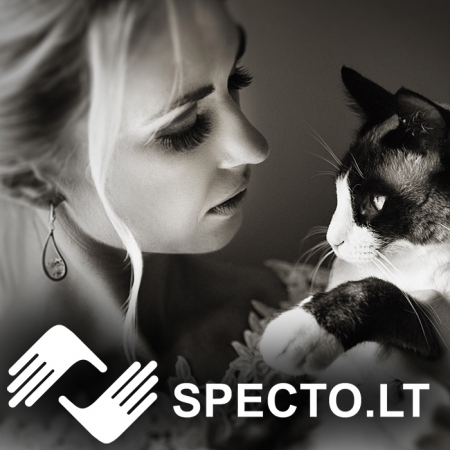 Išsaugokite savo istoriją. Specto.lt logo