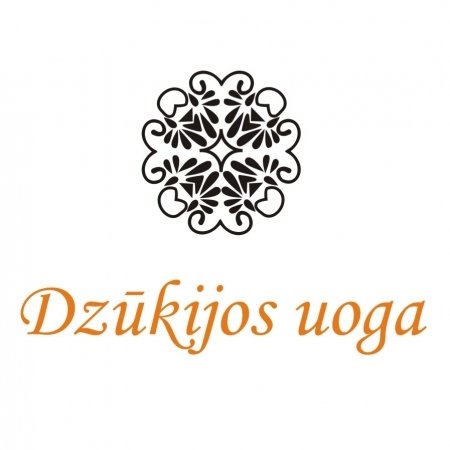 Dzūkijos uoga - kaimo turizmo sodyba Dzūkijoje logo