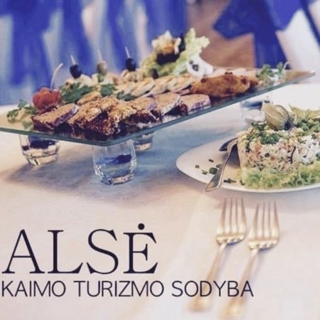 Alse kaimo turizmo sodyba logo