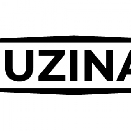 Limuzinai ir Party Busai logo